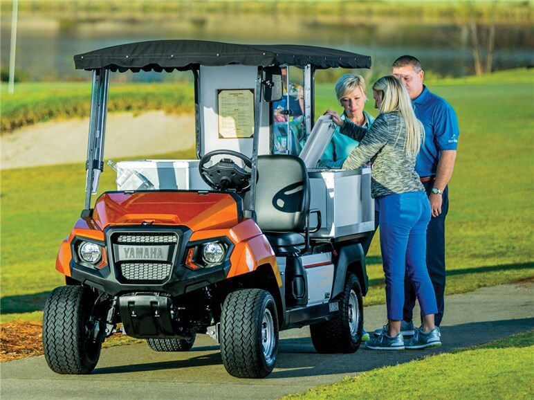 Golf Cart Battery Replacement in 2022